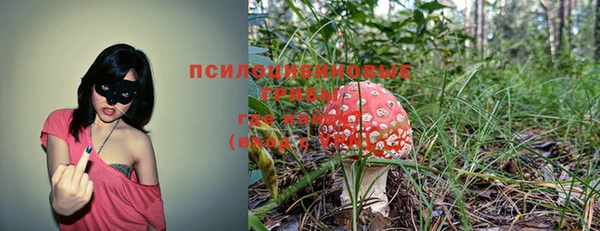 а пвп мука Дмитриев