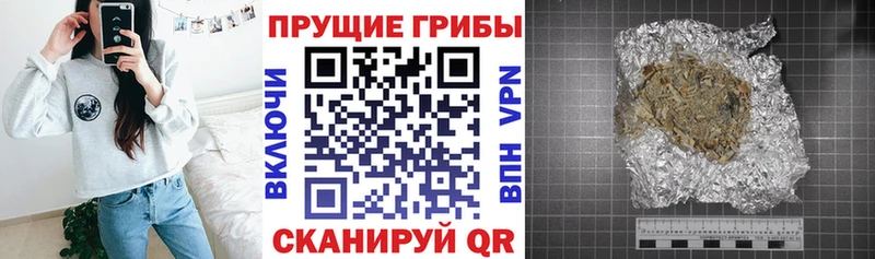 Купить  Искитим  Псилоцибиновые грибы GOLDEN TEACHER 