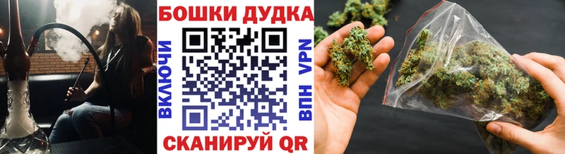 Конопля ГИДРОПОН  Купить где  Искитим 